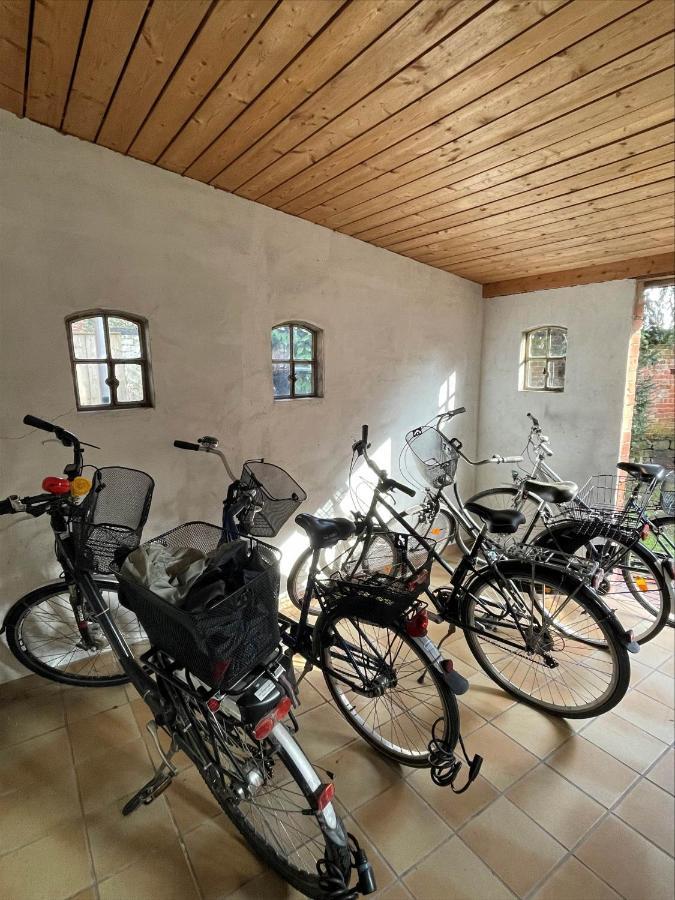 Stadtgaertchen نيبورغ المظهر الخارجي الصورة